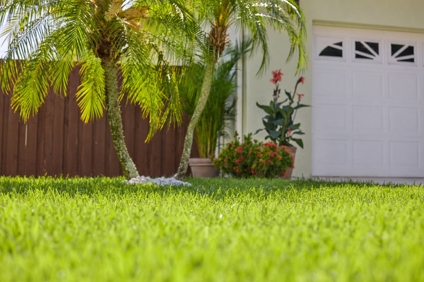 Walnut Artificial Grass Installation - artificial grass installation in Walnut, CA